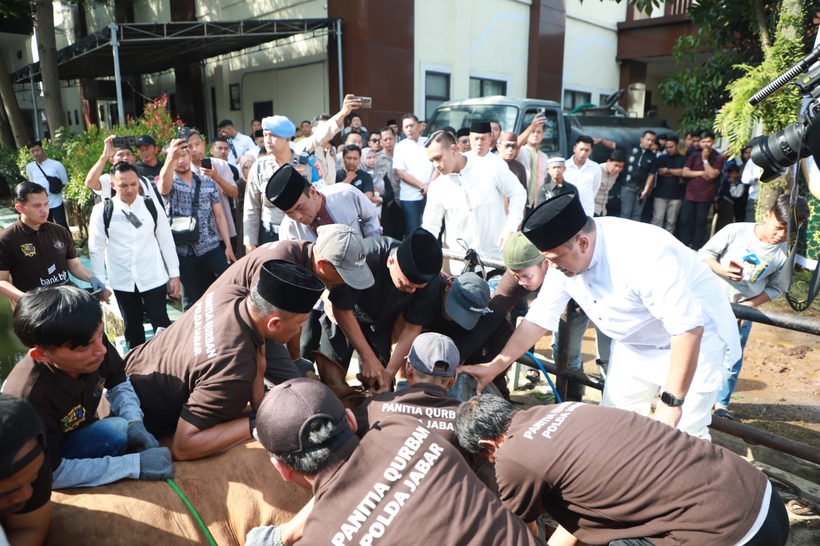 IMG-20260528-WA0011